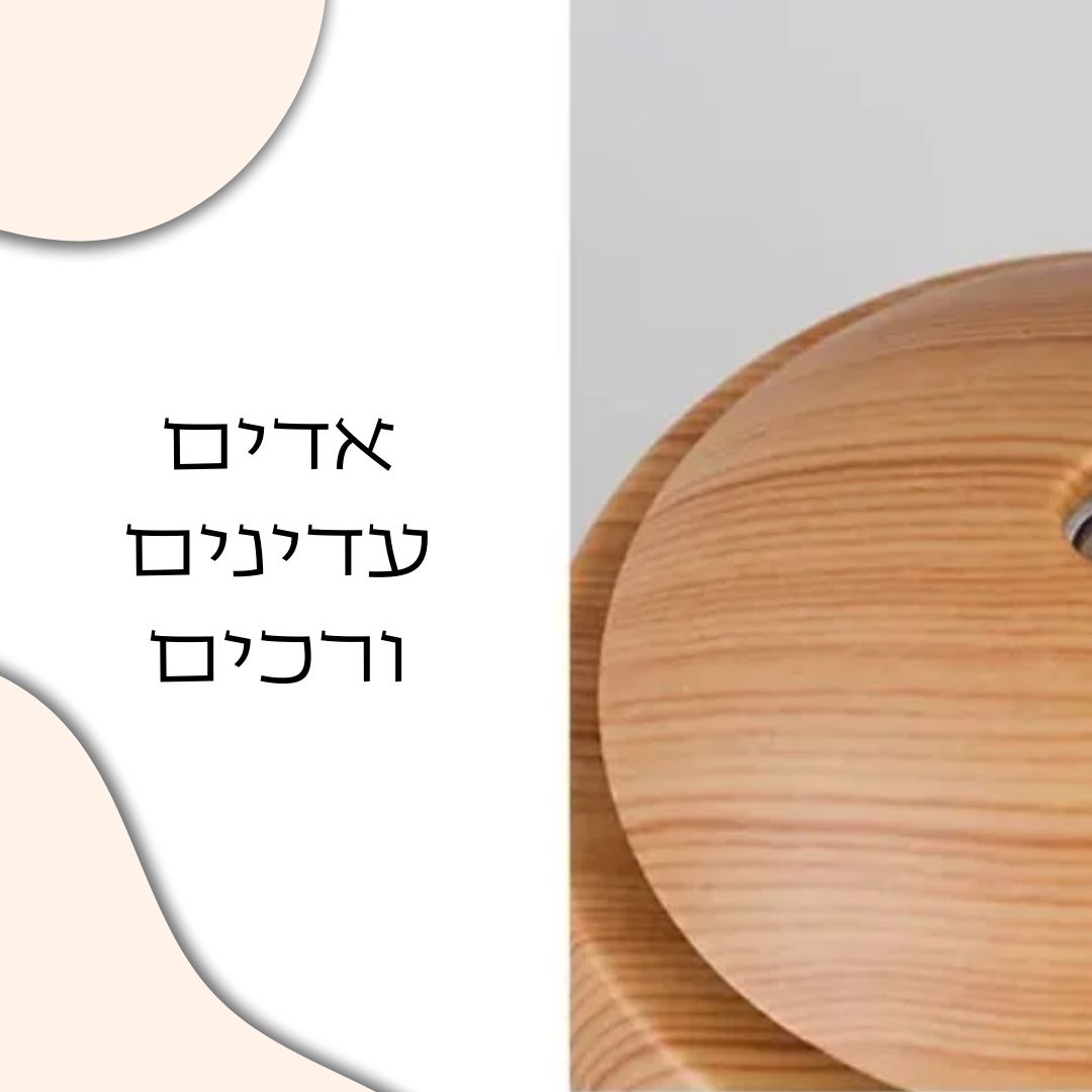 אדים טבעיים בחדר