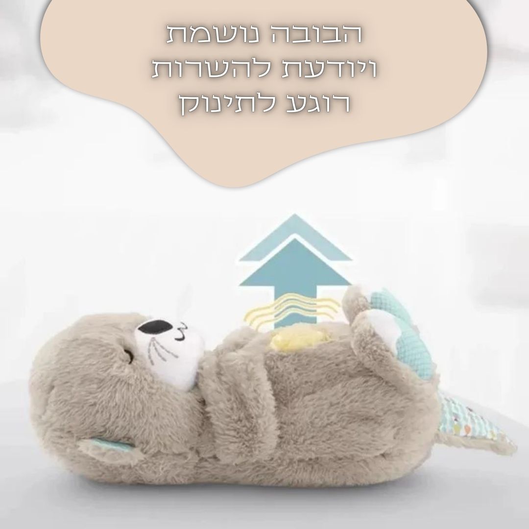 דובי נושם - אילוסטרציה
